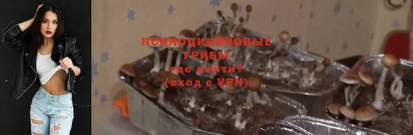 первитин Балахна