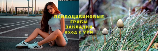 первитин Балахна