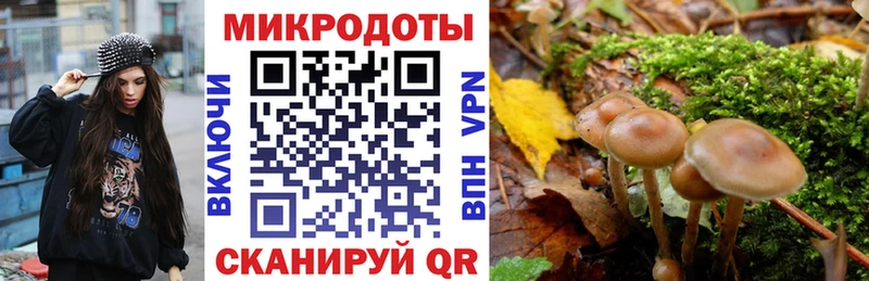 Галлюциногенные грибы ЛСД  omg ONION  Горнозаводск 